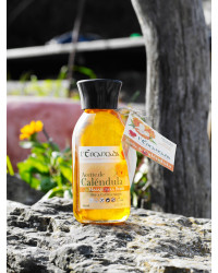 copy of 